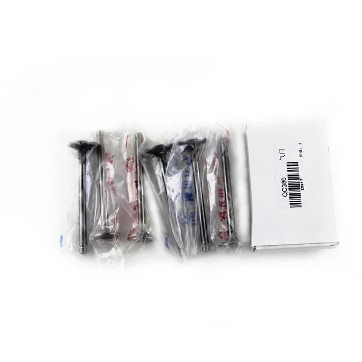 Ventile für Motormodell QC380